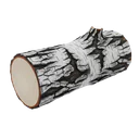 Birch Log