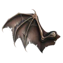 Ala coriàcia