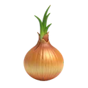 Bulbo