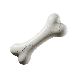Bone