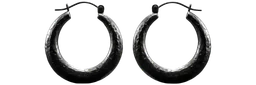 Earrings Iron Ring