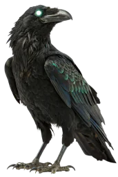 Покварена врана