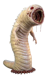 Бледи паразит