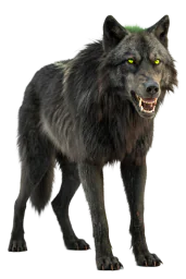 Алфа вук Пошасти