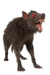 Пећински штакор