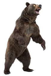 Покварени медвед