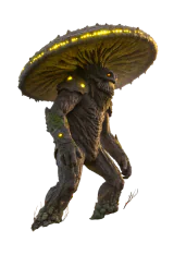 Споре колос