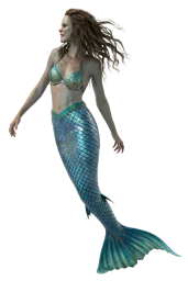 Лучка сирена