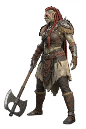 Field Guide Renn