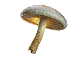 Glowing Spore Extract
