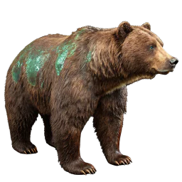 Cuero de oso