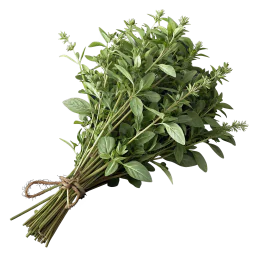 Mana Extract