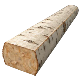 Birch Panel