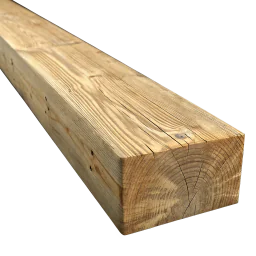 Biga de pi