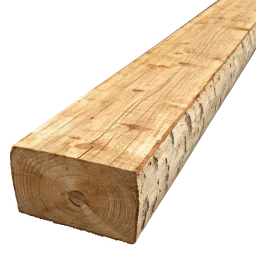 Birch Beam