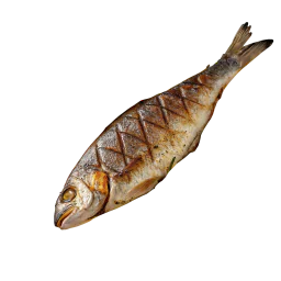 Grillattu kala