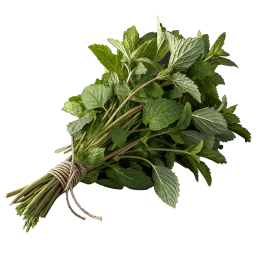 Mint Extract